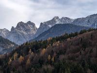 Sonneck und Ellmauer Halt über Herbstwald mit Berglärchen